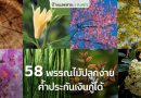 ► 58 ต้นไม้ยืนต้นที่ตัดได้-ขายได้-ใช้ค้ำประกันเงินกู้ได้